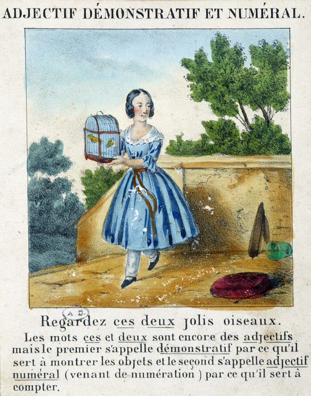 Demonstrative and numerical adjective (a girl carrying a cage with 2 birds) - in 