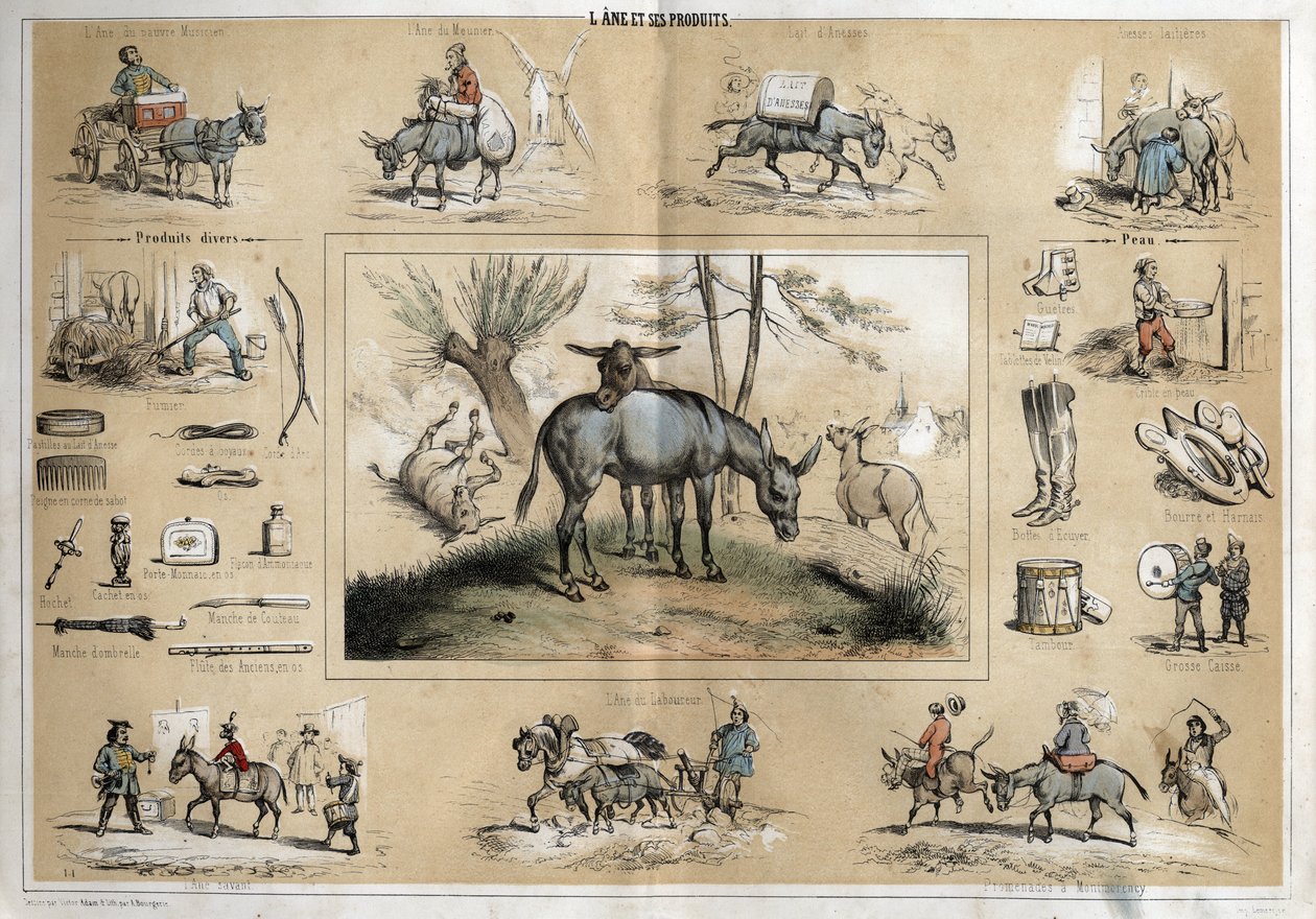 Description of the different products and uses of donkey: the animal helps the work of the miller, the travelling musician, the plougher, the circus artists. (detail) by French School