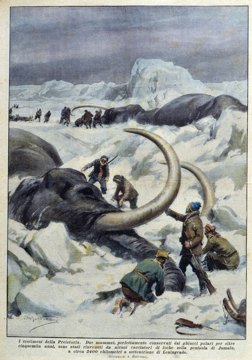 Discovery of prehistoric mammoths caught in polar ice, early 20th century by French School