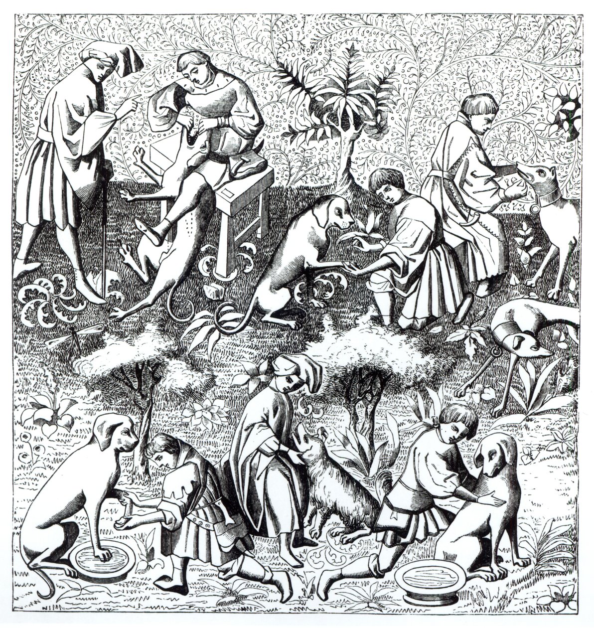 Diseases of Dogs and Their Cure, after a Miniature in the Manuscript of Gaston de Foix by French School