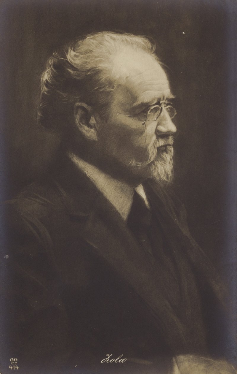 Emile Zola (1840-1902), French novelist, journalist and playwright by French School