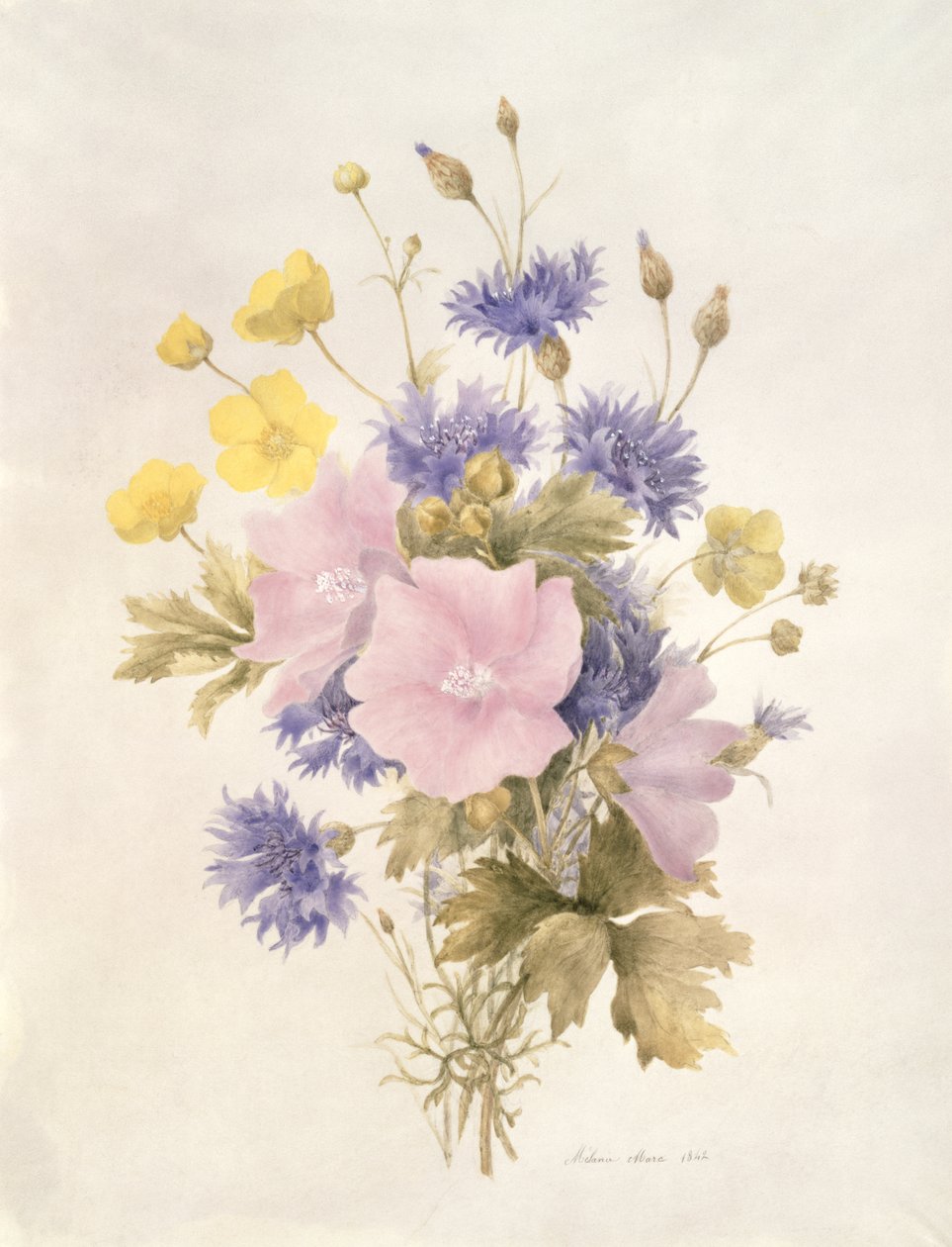 Field Flowers, 1842 by French School