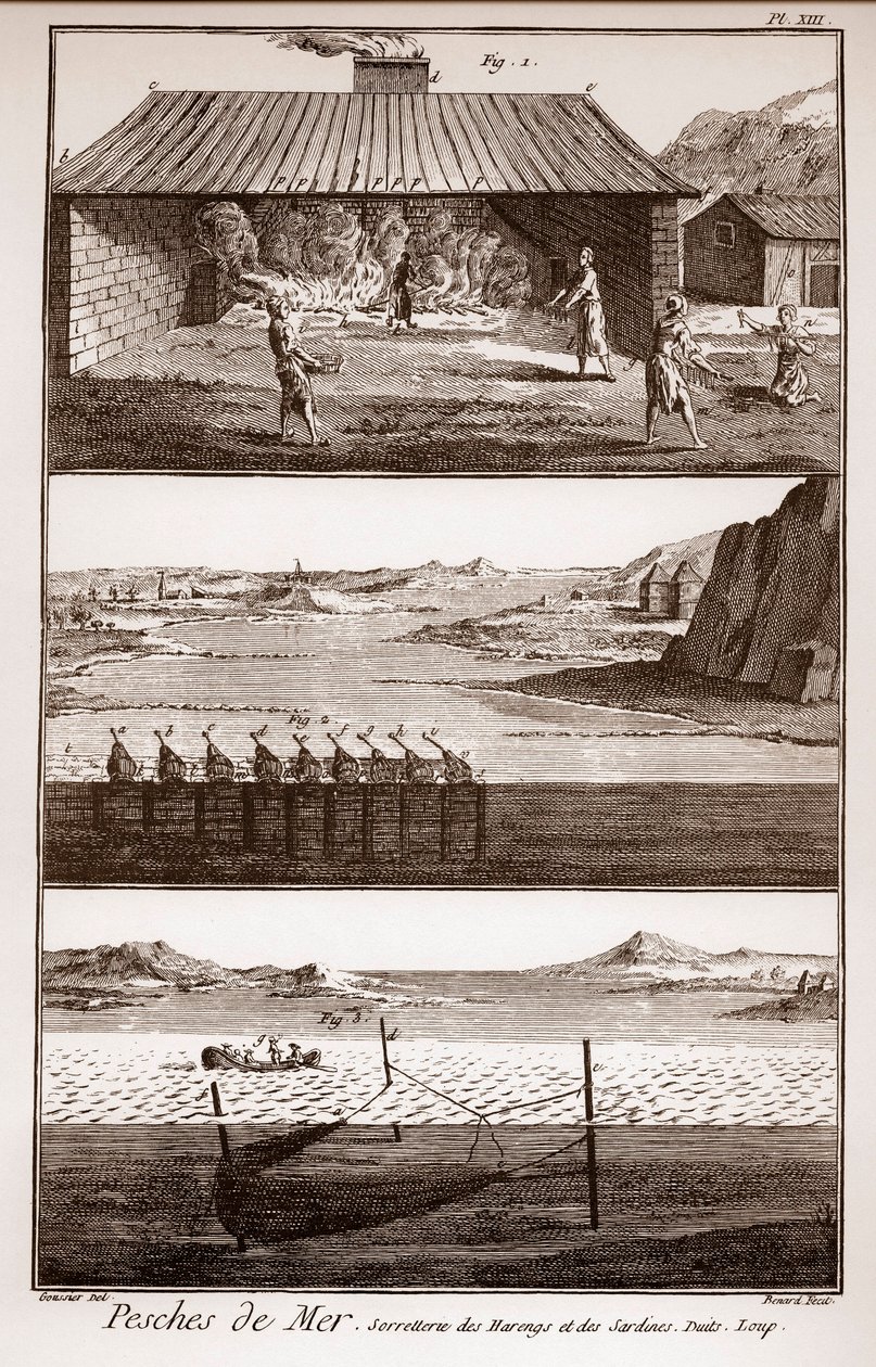 Fishing, Herring and Sardines - 