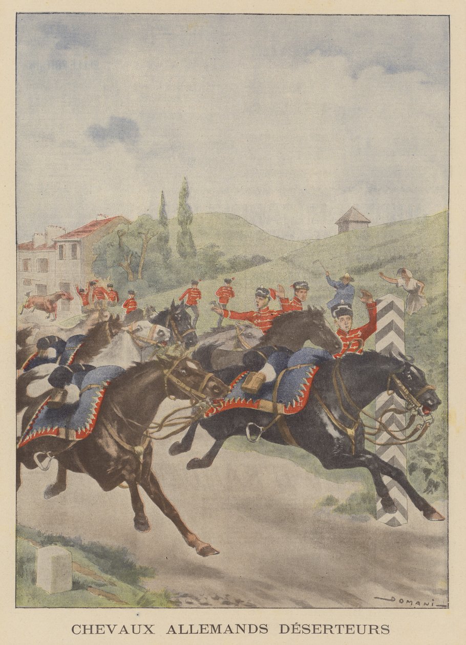 German Army Horses 