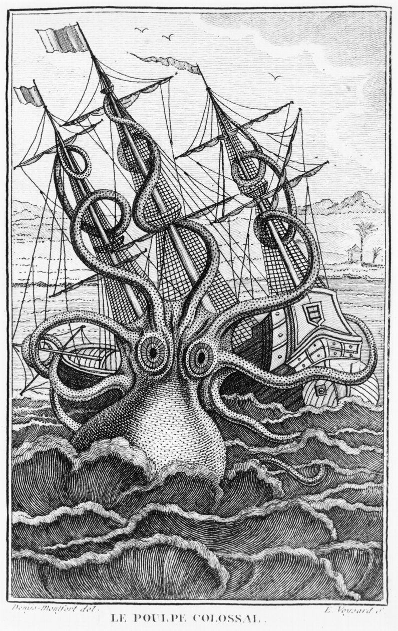 Giant Octopus, illustration from L