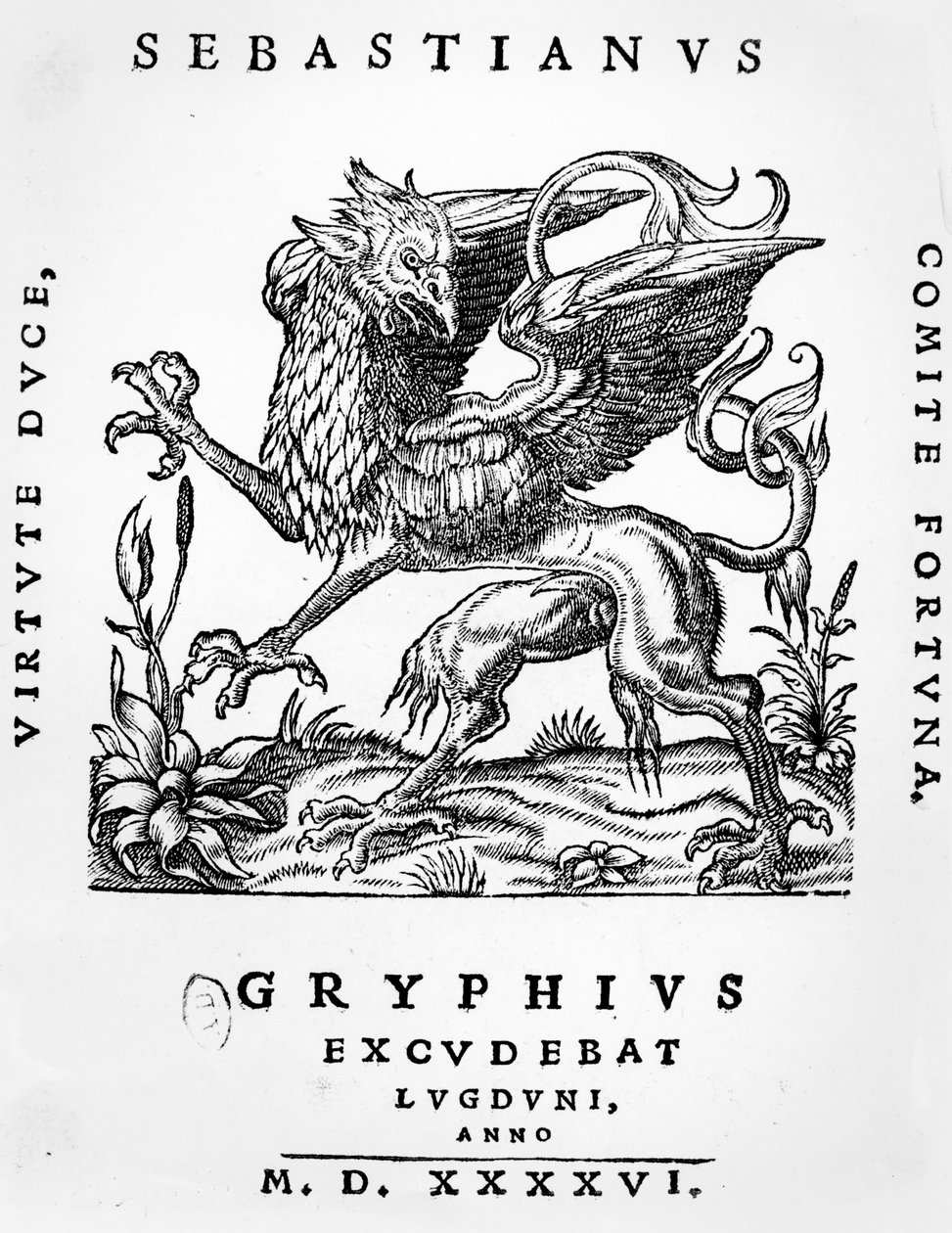 Griffin Printers Emblem of Sebastianus Gryphius, Lyon, 1546 by French School