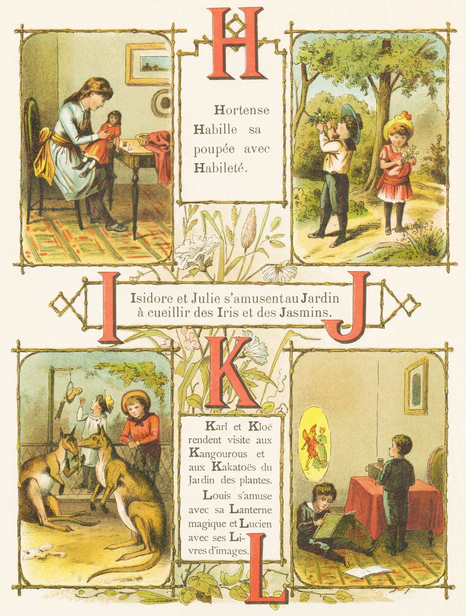 Skill, Garden, Iris, Jasmine, Kangaroos, Kakato, Magic Lantern, Picture books by French School