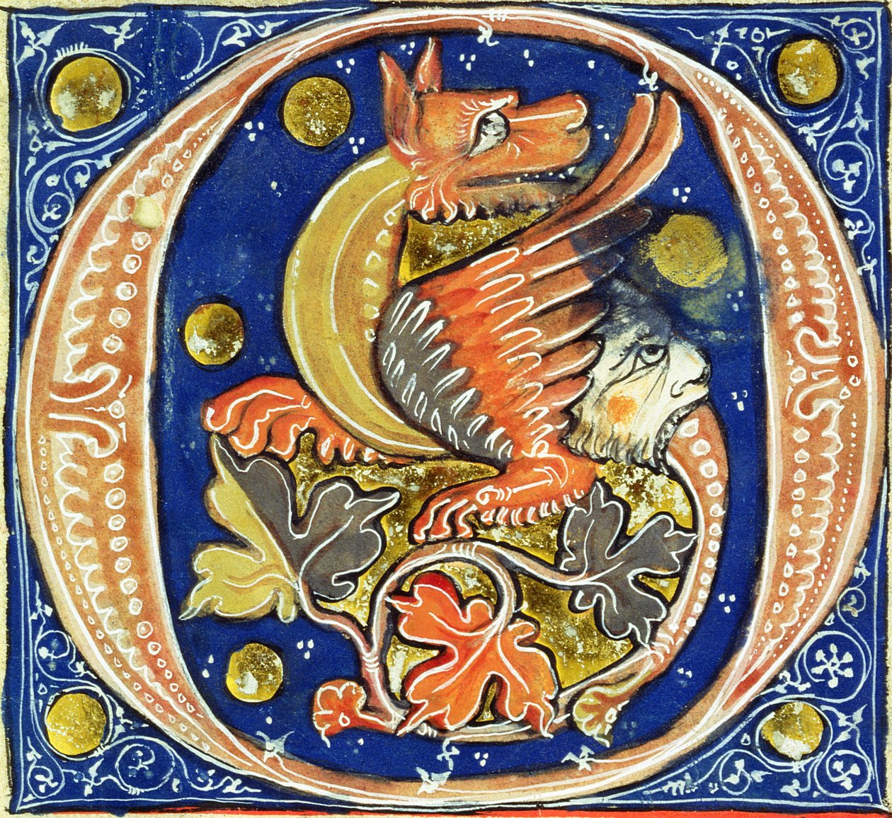 Historiated initial O depicting a winged griffin by French School