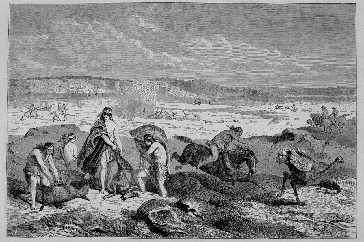 Hunting guanaco (wild Lama) and nandou (or Patagonian ostrich) in Argentina - in 