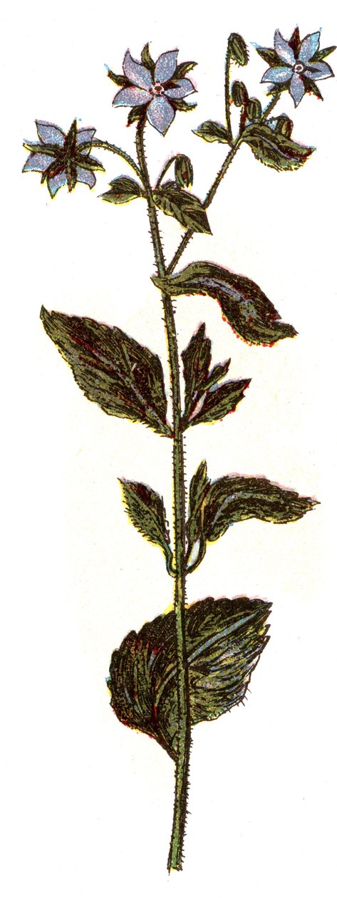 Illustration for 
