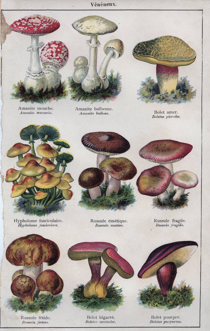 Illustration for 