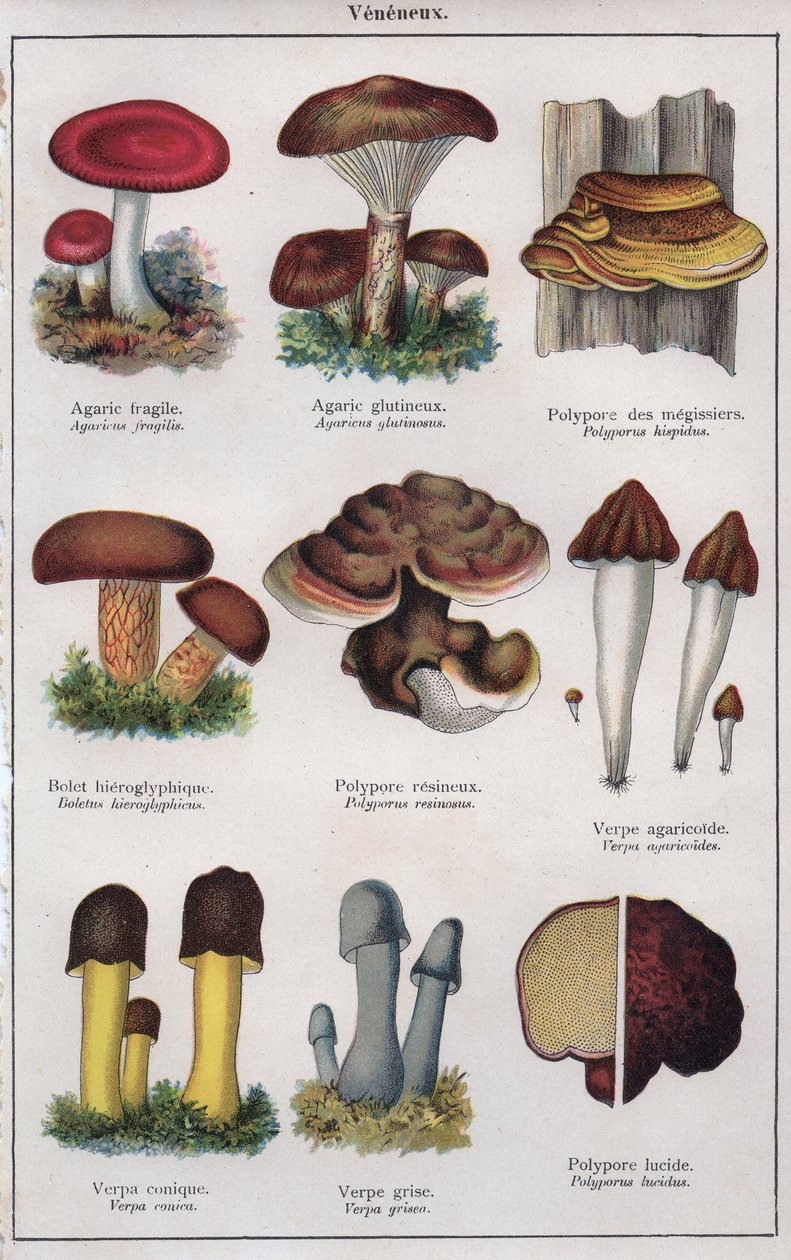 Illustration for 