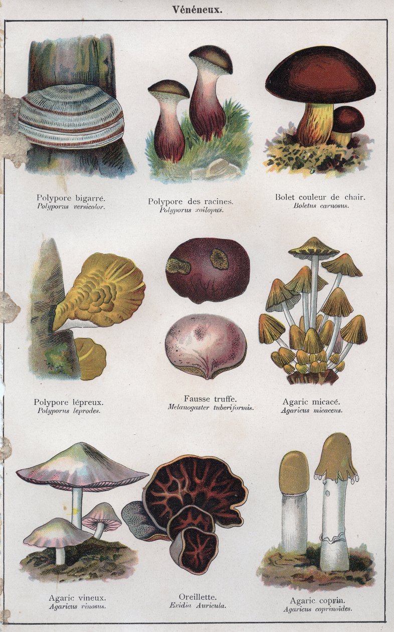 Illustration for 