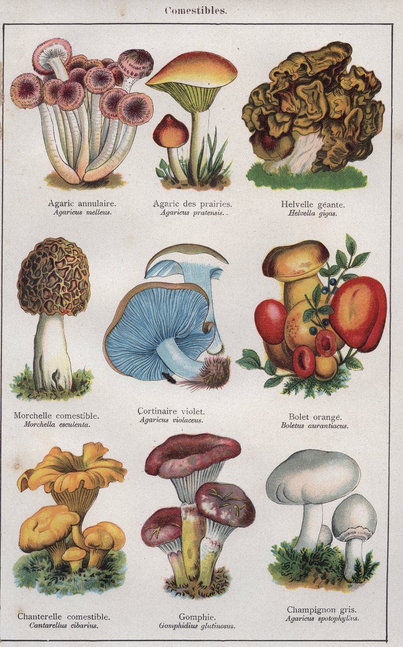 Illustration for 