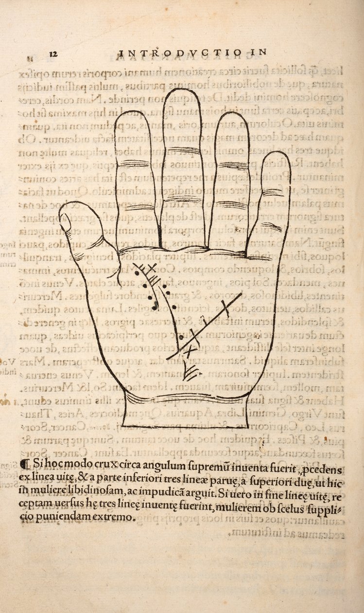 Illustration from Chiromantia by Joannes Indagioe, Strasbourg, 1531 by French School