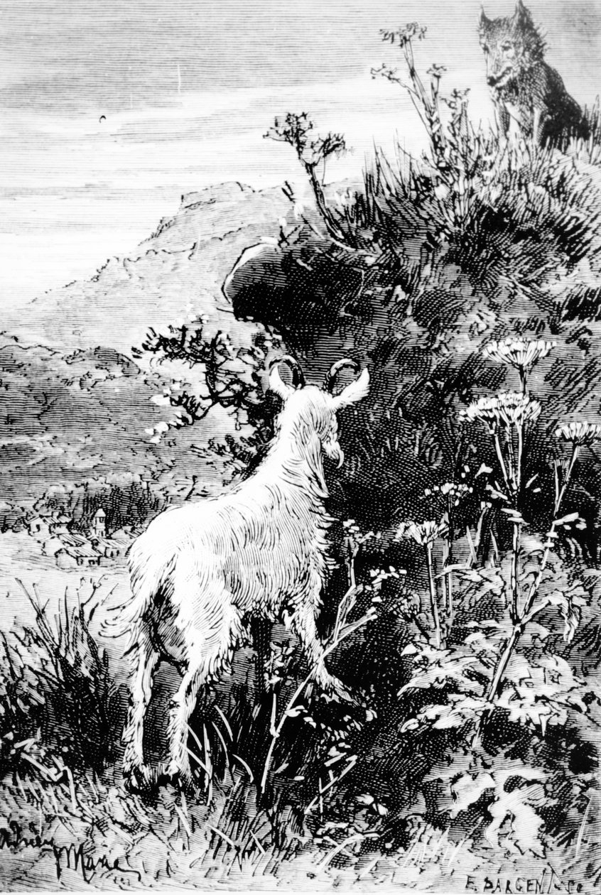 Illustration from Mr. Seguin