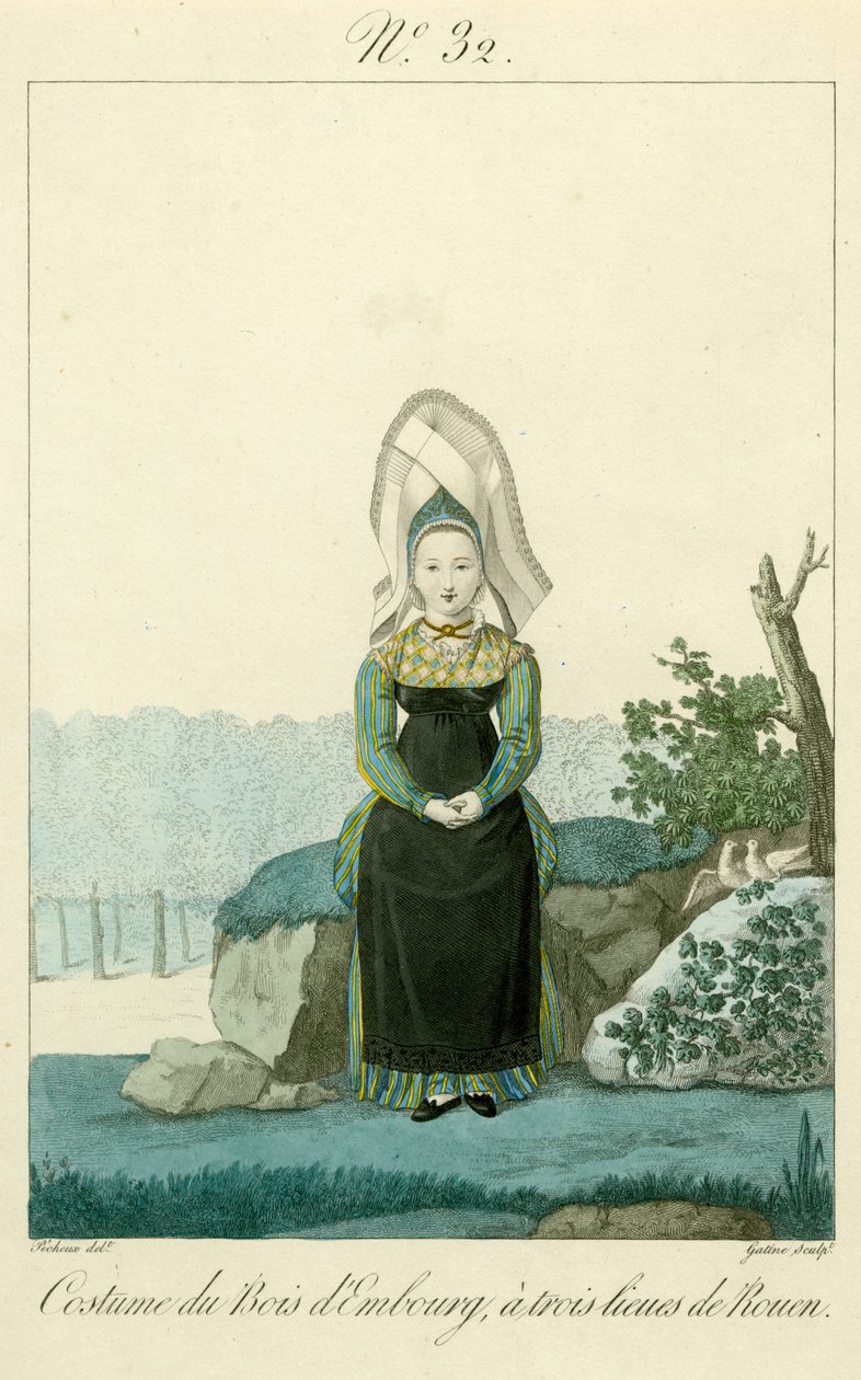 Illustration No. 32, Costume of the Bois d