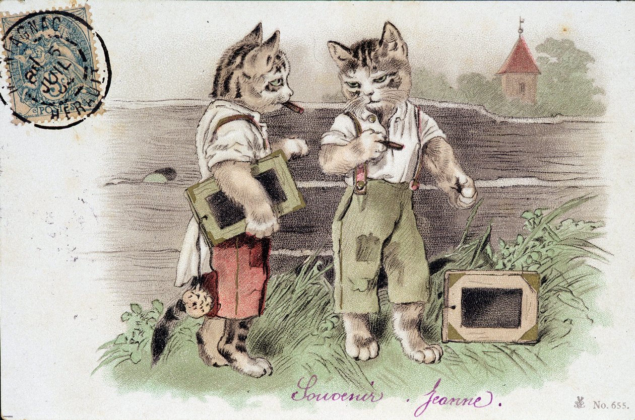 Illustration of cats in situation - postcard early 20th century by French School