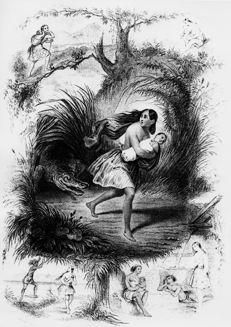 Illustration of novel 