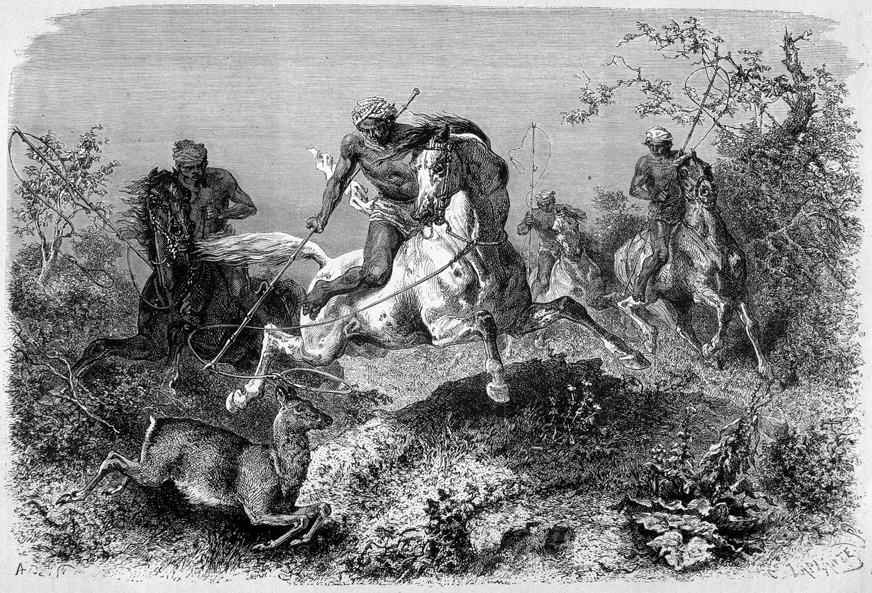 Illustration published in the edition of 