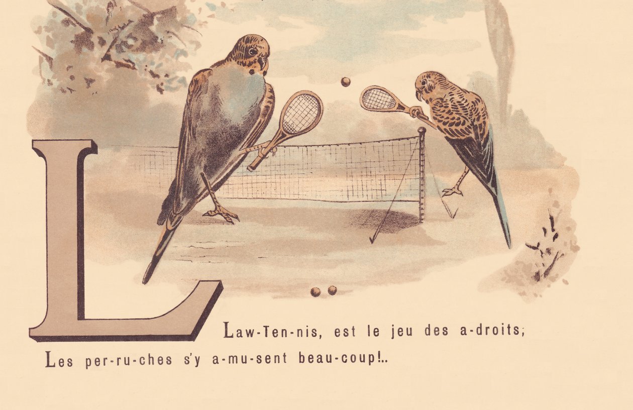 Lawn-Tennis, is the game of the clever; Parakeets have a lot of fun! by French School