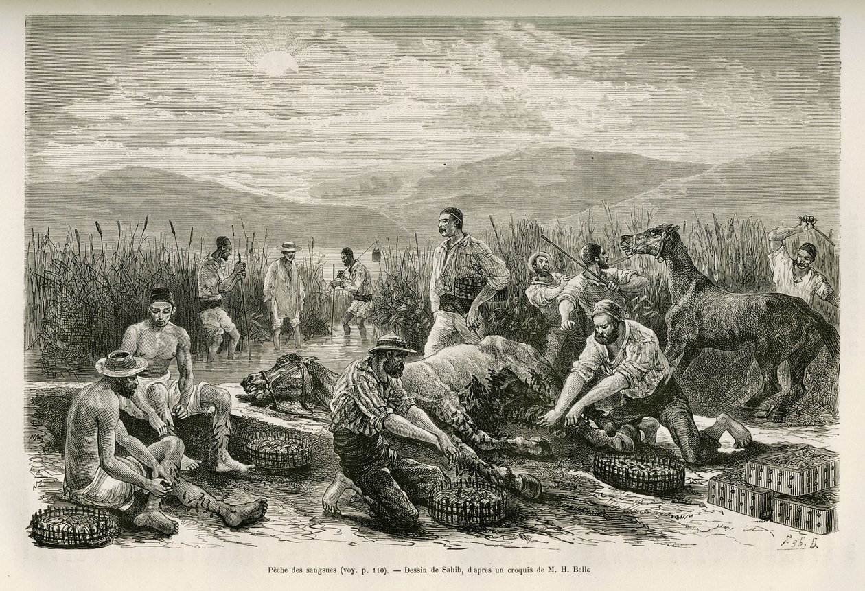 Fishing for leeches. Drawing by Sahib, to illustrate the story of Henri Belle: Voyage en Greece by French School