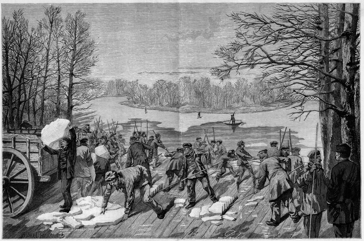 The ice harvest on the frozen lakes of the Bois de Vincennes, in 