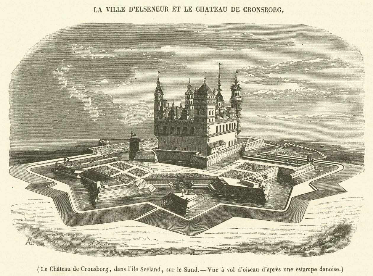 The Castle of Kronborg, on the Island of Zealand, Bird