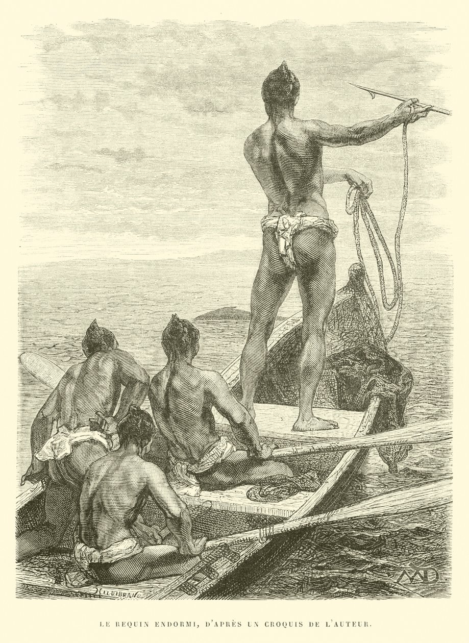 The Sleeping Shark, after a Sketch by the Author by French School