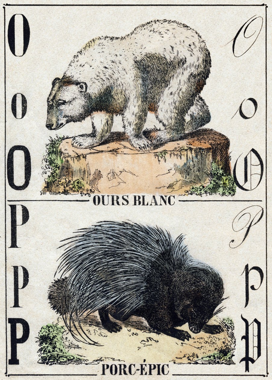 Letter O Bear; P Porc-Epic (Pig Epic) by French School