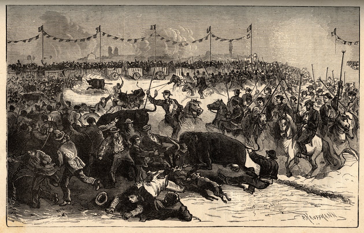 Livestock branding - La ferrade en Camargue (fete organised during the marquage au fer rouge du betail) - engraving in 