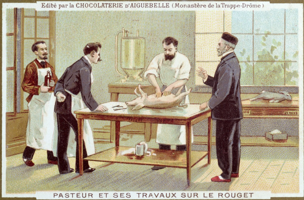Louis Pasteur Working on the Investigation of Measles, Advertising Card for the Chocolaterie d