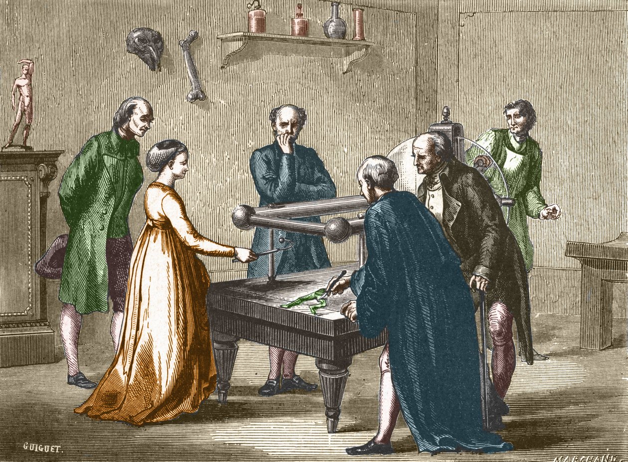 Luigi Galvani, professor in Bologna, discovered, in 1780, the irritability of the frog muscles by electricity - in Album of Science; illustrious scientists; Great discoveries 1896 by French School