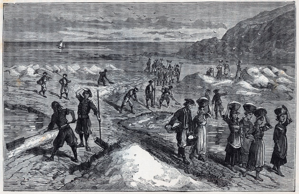 Marais salants de Bretagne in the 19th century - Engraving in 
