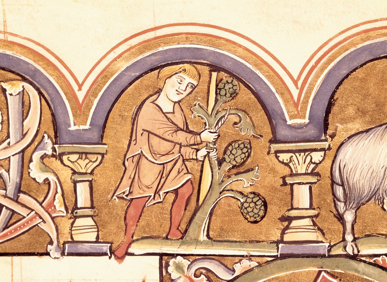 March: Grafting Trees, from the Psalter of St. Elizabeth by French School