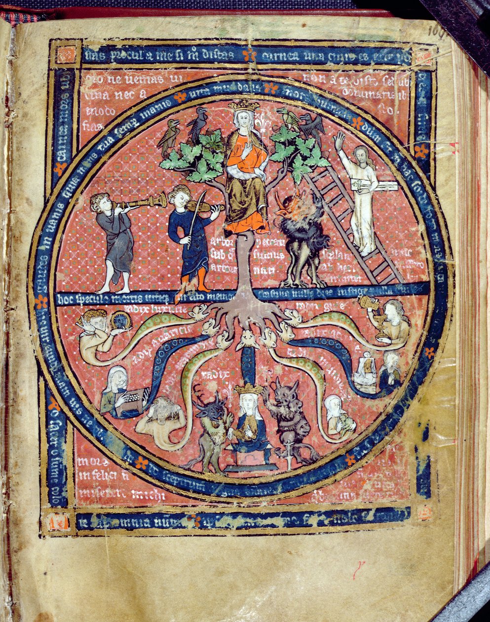 Allegorical Tree, from De Philosophia Mundi by Guillaume de Conches by French School