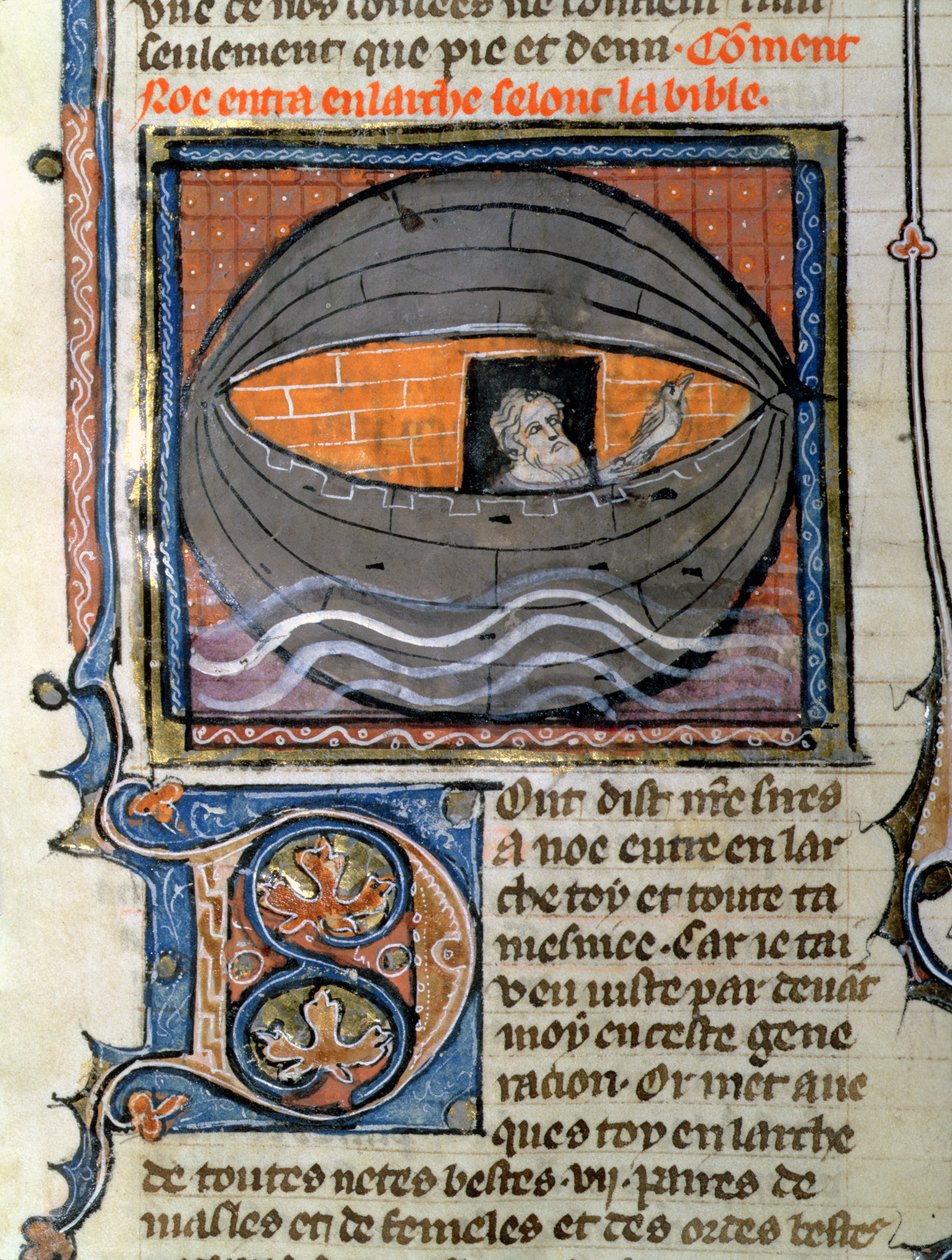 Noah releasing the dove, from a Bible by French School