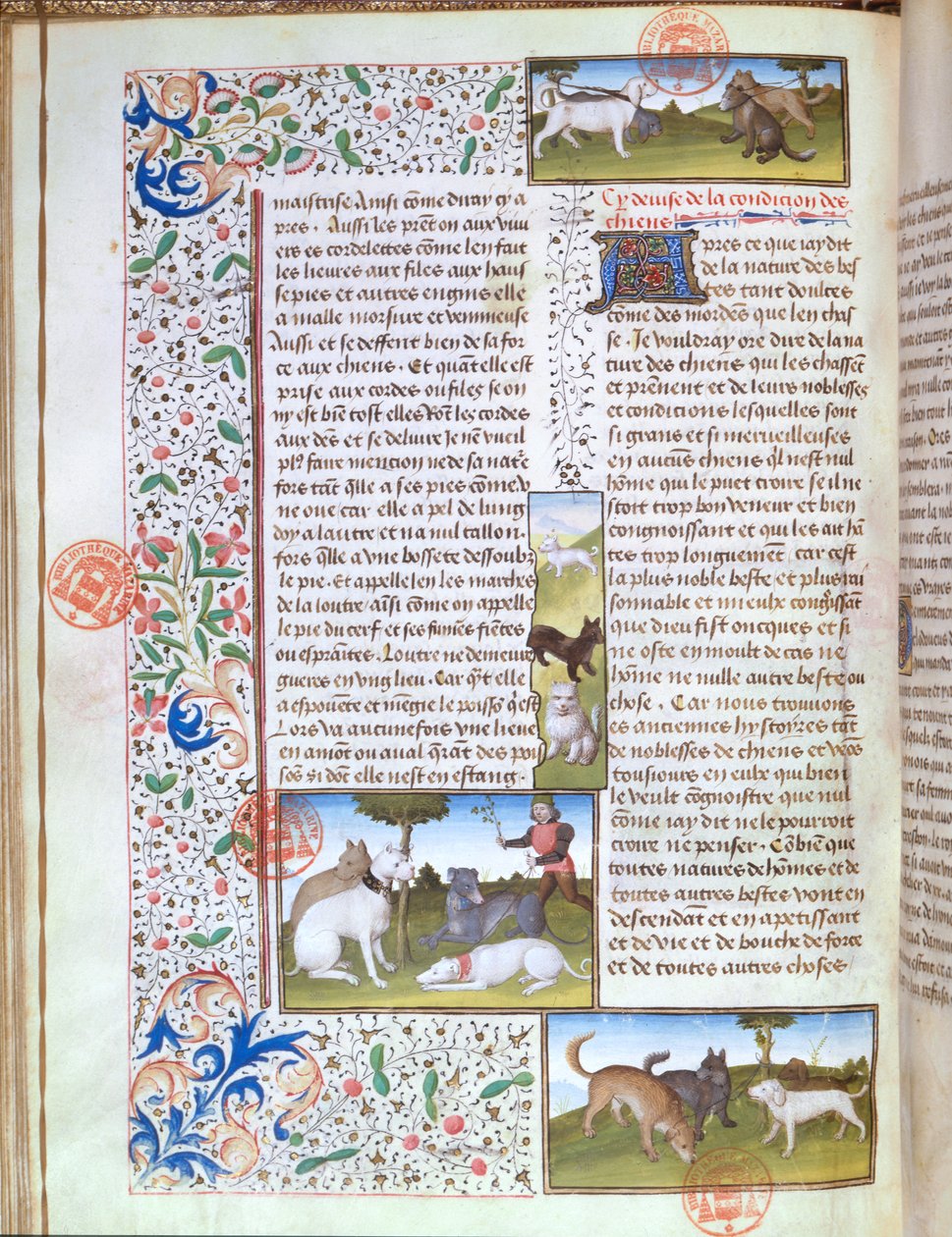 Hunting Dogs, from the Livre de la Chasse by Gaston Phebus de Foix by French School