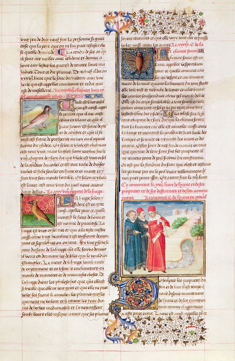 The Properties of the Tortoise, the Hoopoe and the Bat, from 