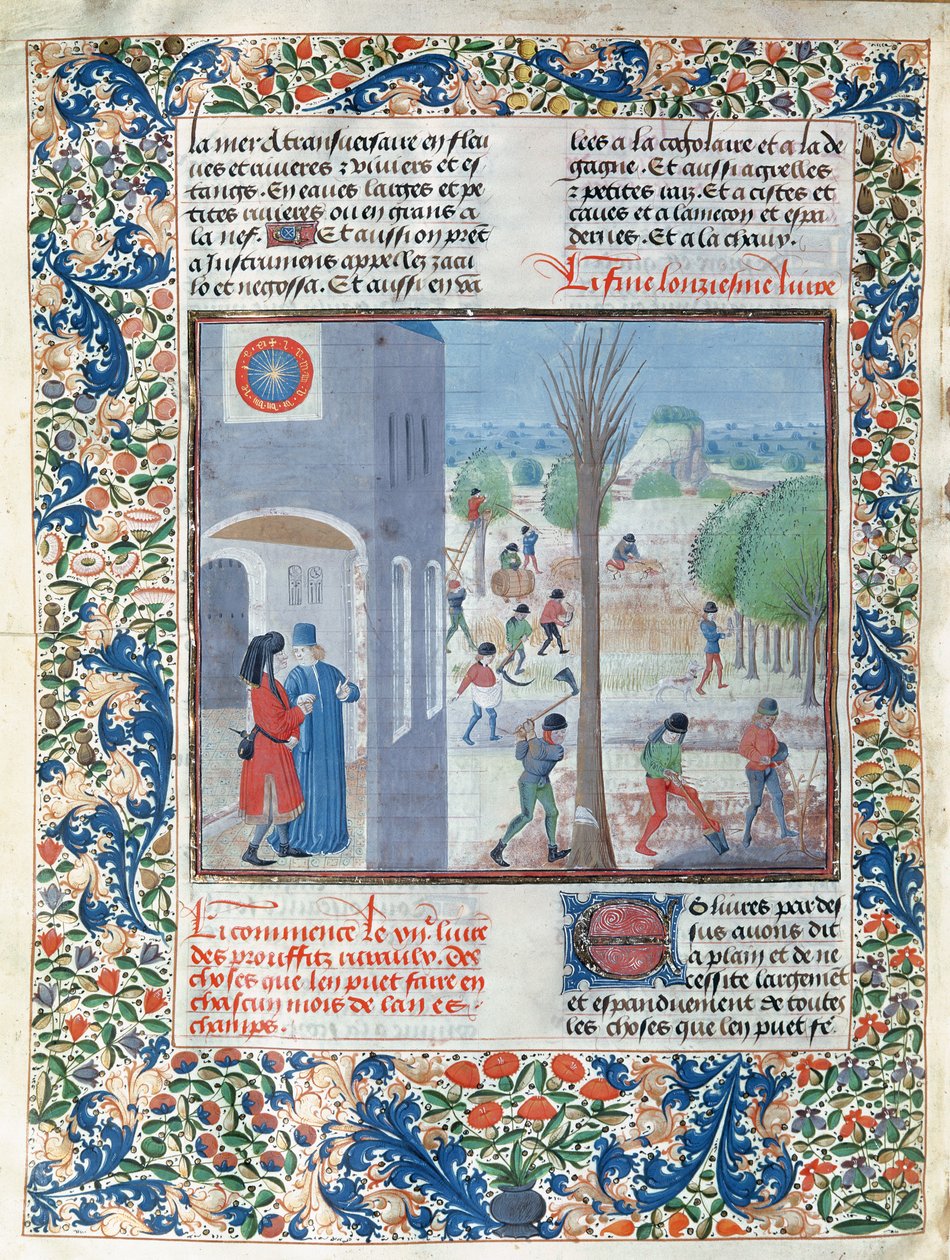 Occupations for each month of the year, illustration from Le Livre des Prouffitz Champestres by Pietro de Crescenzi by French School