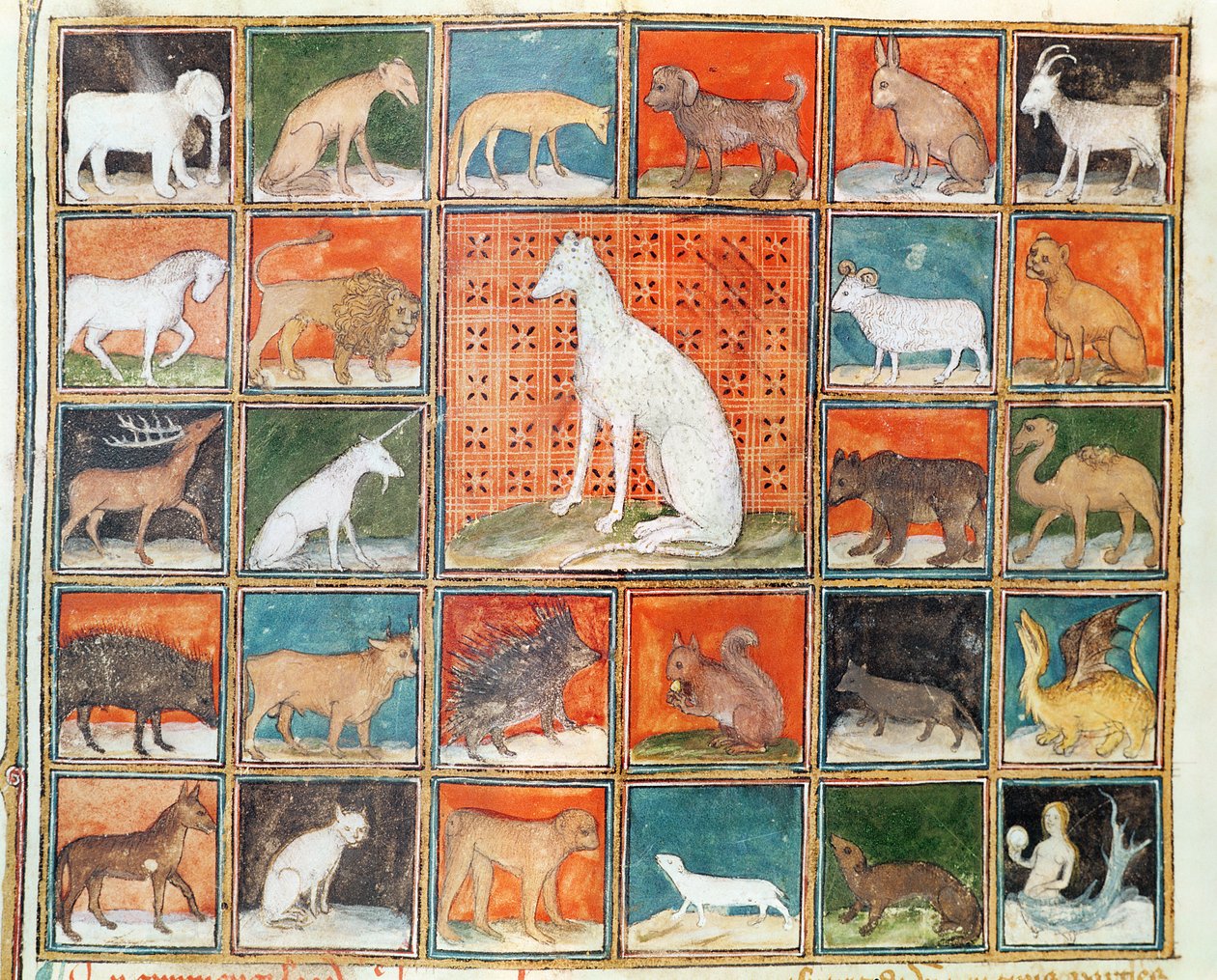 The Properties of Beasts: The Mammals, from Le Livre des Proprietes des Choses by Jean Cordichon by French School