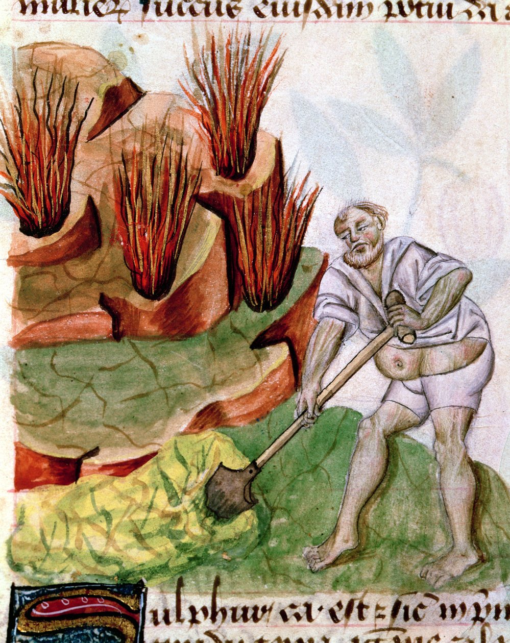 Looking for Sulphur, from Dioscorides De Herbis by French School
