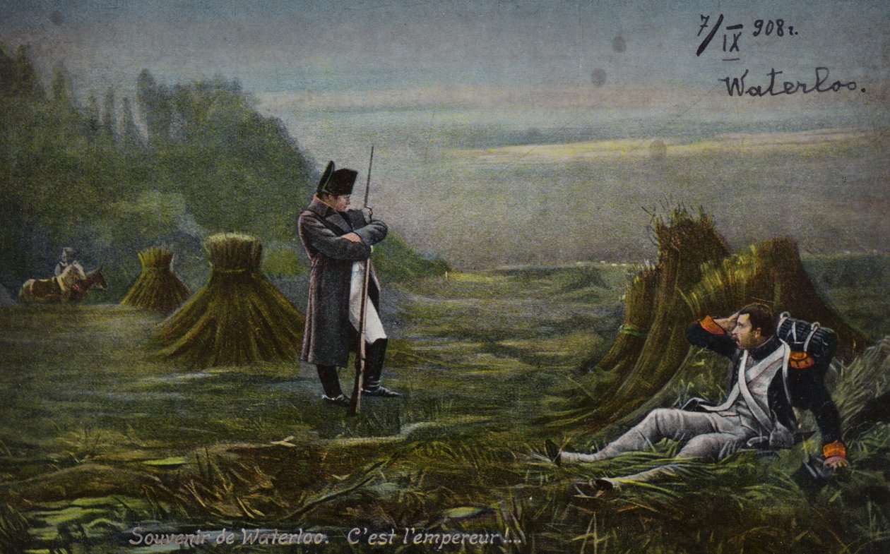 Napoleon at Waterloo by French School