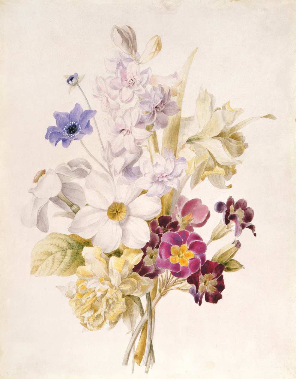 Narcissus and other Flowers by French School