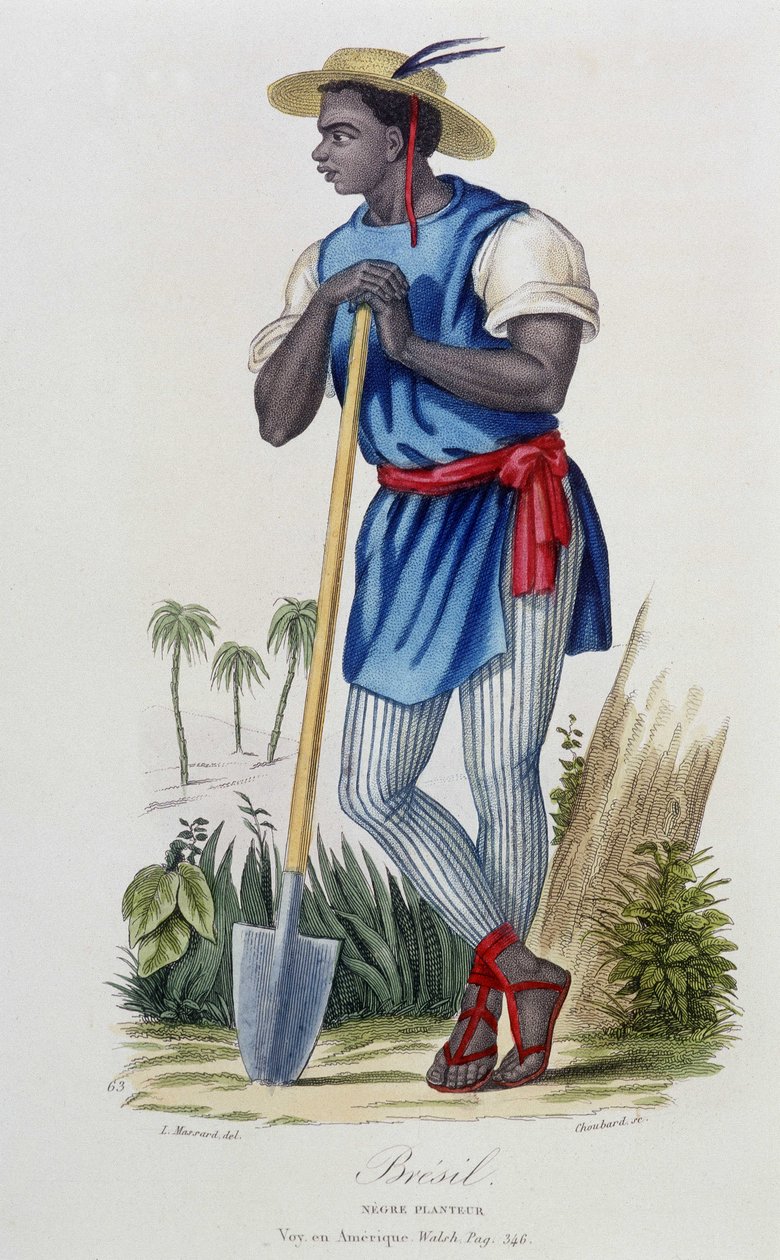 Negro planter of Brazil, from 