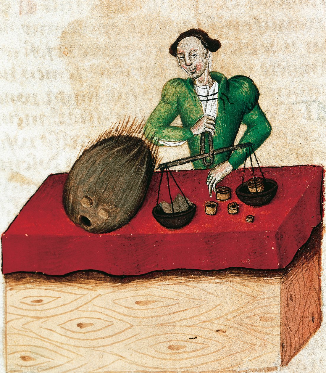 Nutmeg merchant, miniature from Tractatus de herbis, France 15th Century by French School