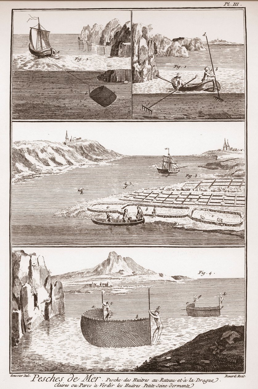 Oyster Fishing - The Great Encyclopedie by French School