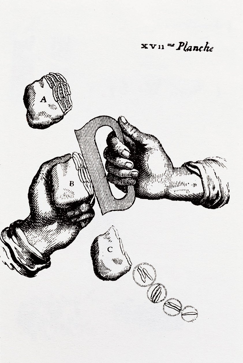 Page from 