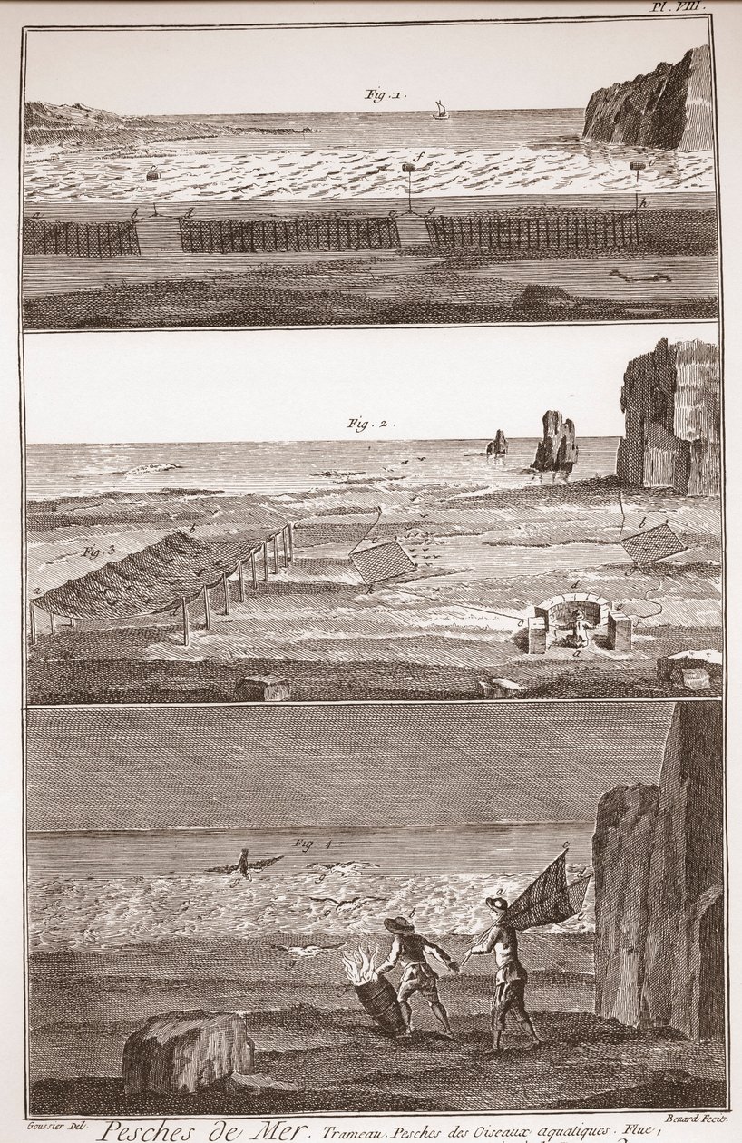 Waterbird Fishing - The Great Encyclopedie, ou Dictionnaire Raisonne des Sciences, des Arts et des Metiers (Encyclopedia or Dictionary of the Sciences, Arts and Professions) by Denis Diderot (1713-1784) and Jean d