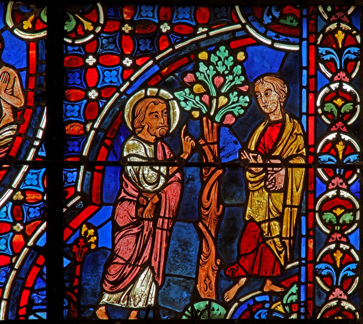 Philip, Nathaniel, fig tree by French School